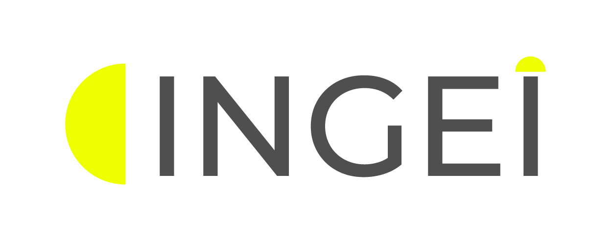 Logo de INGEI